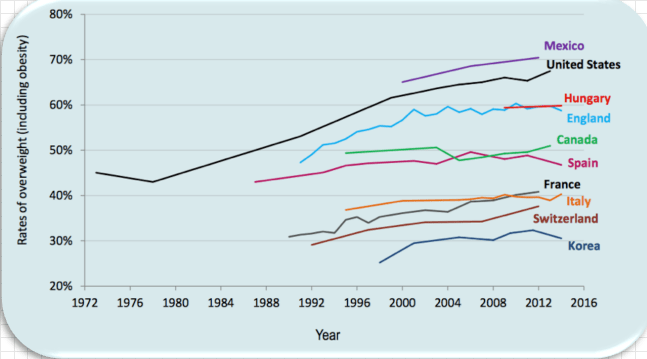 Screen Shot 2018-11-30 at 11.48.07